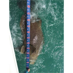 Cuda 120" Tape Measure 17 Cuda 120" Tape Measure -Hang Time Shop 18135 inuse