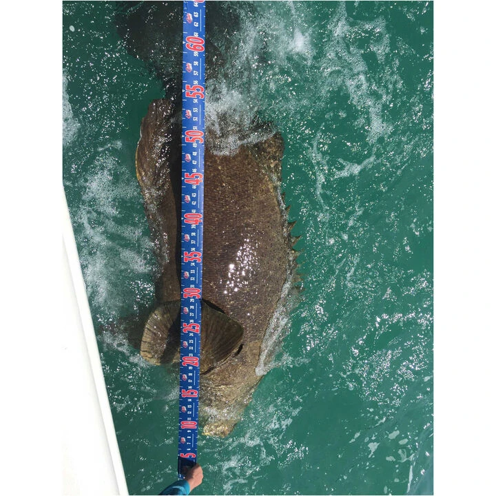 Cuda 120" Tape Measure 10 Cuda 120" Tape Measure - Image 8