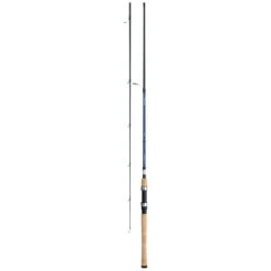 Daiwa Aird Coastal Inshore Saltwater Spinning Rod