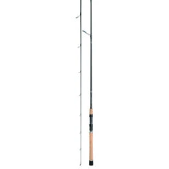 Daiwa Back Bay Saltwater Spinning Rod