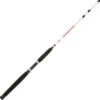 Berkley Big Game Saltwater Spinning Rod -Hang Time Shop Berkley 1121419