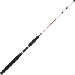 Berkley Big Game Saltwater Spinning Rod