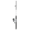 Daiwa D-Wave Spinning Combo