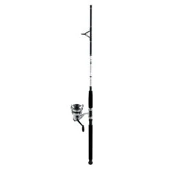 Daiwa D-Wave Spinning Combo