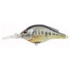 LiveTarget Bluegill Flat-Side Roundbill Lure