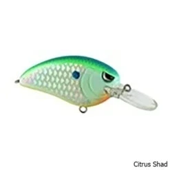 Spro Little John MD 50 Crankbait Lure -Hang Time Shop Little John MD 50 Crankbait Lure Citrus