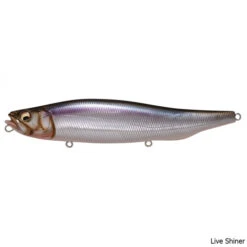 Megabass Megadog Lure -Hang Time Shop Megadog Lure Live Shiner