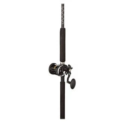 Penn Rival Levelwind Combo