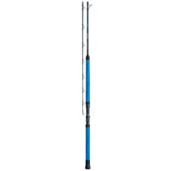 Daiwa Proteus WN Saltwater Casting Rod