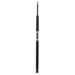 Shakespeare Ugly Stik Tiger Saltwater Spinning Rod