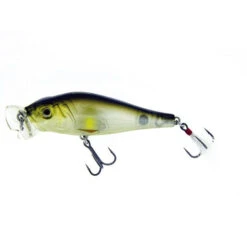 Molix Shaman Popper Lure