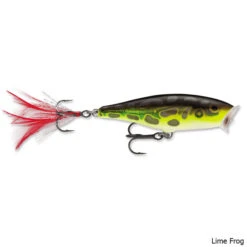 Rapala Skitter Pop Lure -Hang Time Shop Skitter Pop Lure Lime