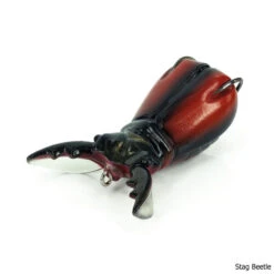 Molix Supernato Beetle Lure -Hang Time Shop Supernato Beetle Lure Stag