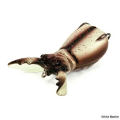 Molix Supernato Beetle Lure -Hang Time Shop Supernato Beetle Lure White