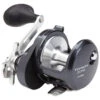 Shimano Torium Star Drag Saltwater Casting Reel -Hang Time Shop Torium Star Drag Saltwater Casting Reel