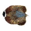 Wapsi Ringneck Pheasant Whole Skin Fly Tying Material -Hang Time Shop WAPPS198 Ringneck Pheasant Whole Skin Fly Tying Ma