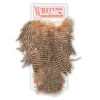Whiting Coq De Leon Soft Hackle W/ Chickabou Fly Tying Material -Hang Time Shop WFI52803 Coq de Leon Soft Hackle Chickabou Fly Tyi
