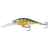LiveTarget Yellow Perch Crankbait & Jerkbait Lure -Hang Time Shop YP115D102 1000x